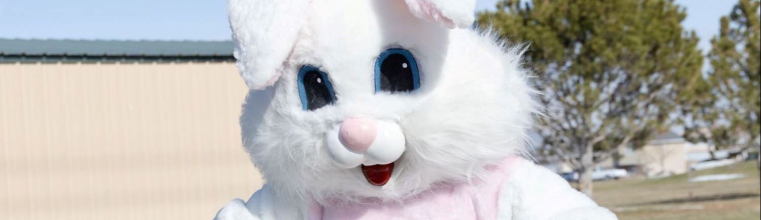 Easter Bunny